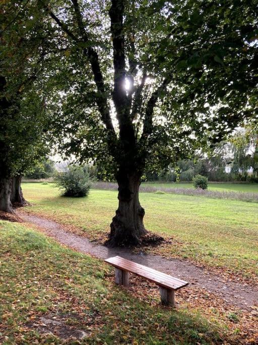 Gemuetliches Holzhaus Am See Warin エクステリア 写真