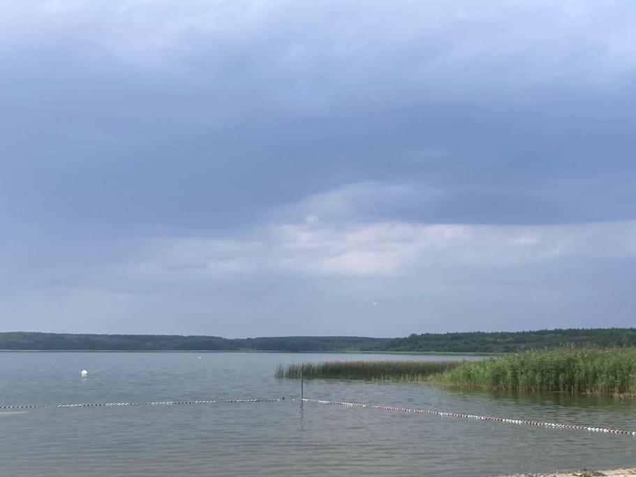 Gemuetliches Holzhaus Am See Warin エクステリア 写真